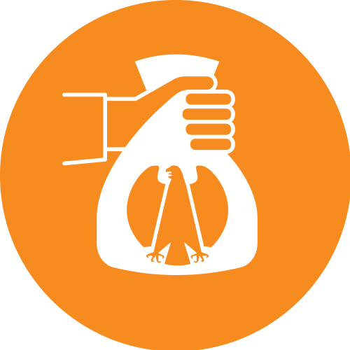 Fordermittelmanagement und Finanzen 1x1.png